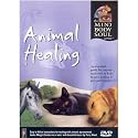 Animal Healing [2007] [DVD]