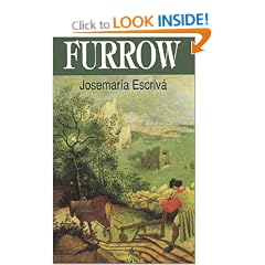 Furrow