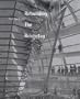Rebuilding the Reichstag