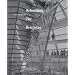 Rebuilding the Reichstag