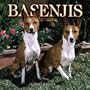 Basenjis 2005 Calendar