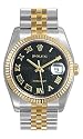 Rolex Oyster Perpetual Datejust Mens Watch 116233-BKRJ
