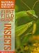 Books : Insects (National Audubon Society First Field Guides)