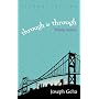 Through and Through: Toledo Stories (Arab American Writing)