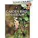 Garden Bird Behaviour