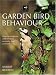 Garden Bird Behaviour