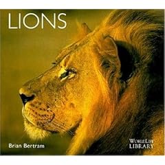 Lions