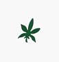 Hemp leaf Tanning Stickers 1000 ct Roll