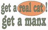 get a real cat! Get a manx Youth Hooded / Hoodie Sweatshirt for boys or girls Size: Small (6-8)