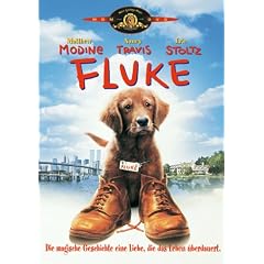 Fluke