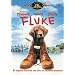 Fluke