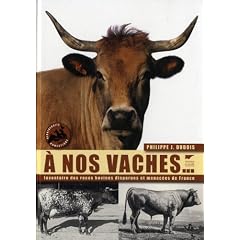 A nos vaches... : Les races bovines disparue et menac�es de France