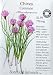 Chive Seeds Certified Organic Heirloom 400 Seeds