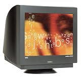 NEC MultiSync FE950+ Totally Flat 19" Monitor (PC/Mac, Black)