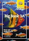 Focus on literacy. Big book 3A