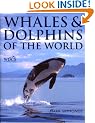 Whales and Dolphins of the World