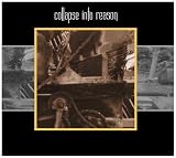 Collapse Into Reason