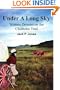 Under A Long Sky: Women Drovers on the Chisholm Trail