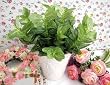 Artifical Flora Catnip Bush - Plant 4pcs