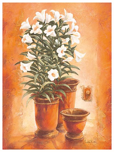 Eurographics CA2219 Claudia Ancilotti, Rosella 18 x 24 cm, Hochwertiger Kunstdruck - Stillleben