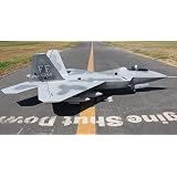 The Ultimate Weapon! 12 CH 2.4GHz BlitzRCWorks Super F-22 3D Vector Thrust Aerobatic Radio...