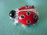  : Lady Bug Pin