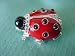 Jewelry : Lady Bug Pin