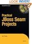 Practical JBoss Seam Projects (Expert's Voice)
