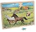 Wooden Horses 48 Piece Jigsaw Puzzle