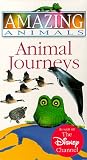 Amazing Animals - Animal Journeys