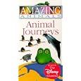 Amazing Animals - Animal Journeys [VHS] by 