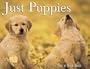 Just Puppies (Just Pets (Half Pint Edition))