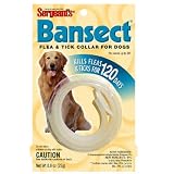 COLLARS BANSECT DOG