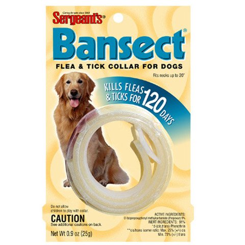 COLLARS BANSECT DOG
