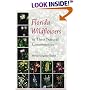 Florida Wildflowers in Their Natural Communities