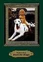 Deutsche Dogge: Das Rasseportrait