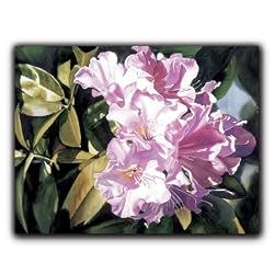 Pink Rhododendron - Gift Enclosure Cards (set of 12)
