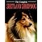 Favorite Dog Books