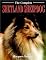 The Complete Shetland Sheepdog