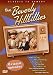 Search : The Beverly Hillbillies