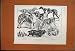 1888 DOGS BULLDOG SPANIEL IRISH SETTER ST BERNARD YORKY
