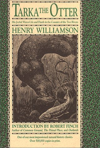 Children's Series Books