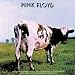 Pink Floyd - Atom Heart Mother Decal