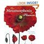 The Metamorphosis of Flowers