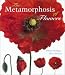 The Metamorphosis of Flowers