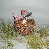 Scented Pine Cones In Bag (Cinnamon)