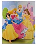 Disney Princess Fleece Blanket : 50x60 Cinderella