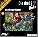 Musik : Band 3: Invasion der Fliegen