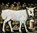 God's Lamb