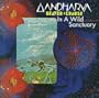 In a Wild Sanctuary & Gandharva